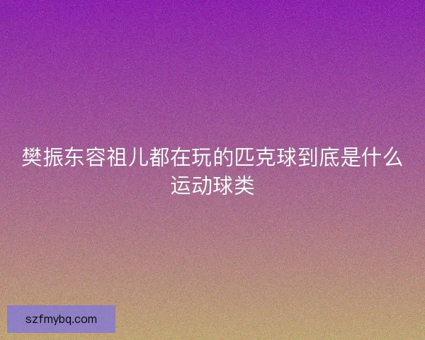 樊振东容祖儿都在玩的匹克球到底是什么运动球类