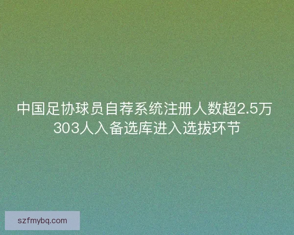 中国足协球员自荐系统注册人数超2.5万 303人入备选库进入选拔环节