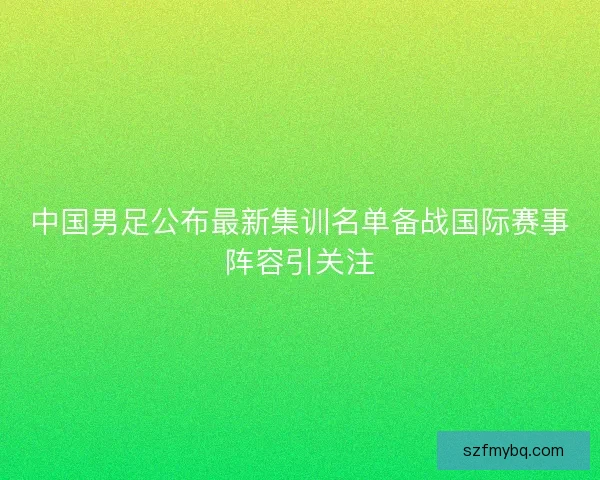 中国男足公布最新集训名单备战国际赛事阵容引关注