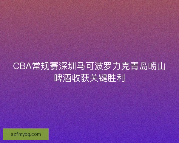 CBA常规赛深圳马可波罗力克青岛崂山啤酒收获关键胜利