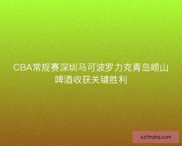 CBA常规赛深圳马可波罗力克青岛崂山啤酒收获关键胜利
