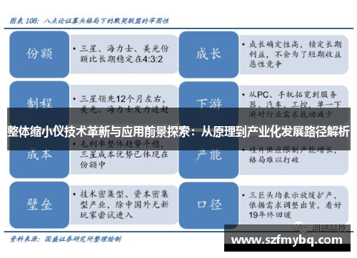 整体缩小仪技术革新与应用前景探索：从原理到产业化发展路径解析